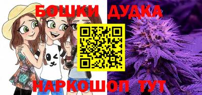 прущий лед Будённовск