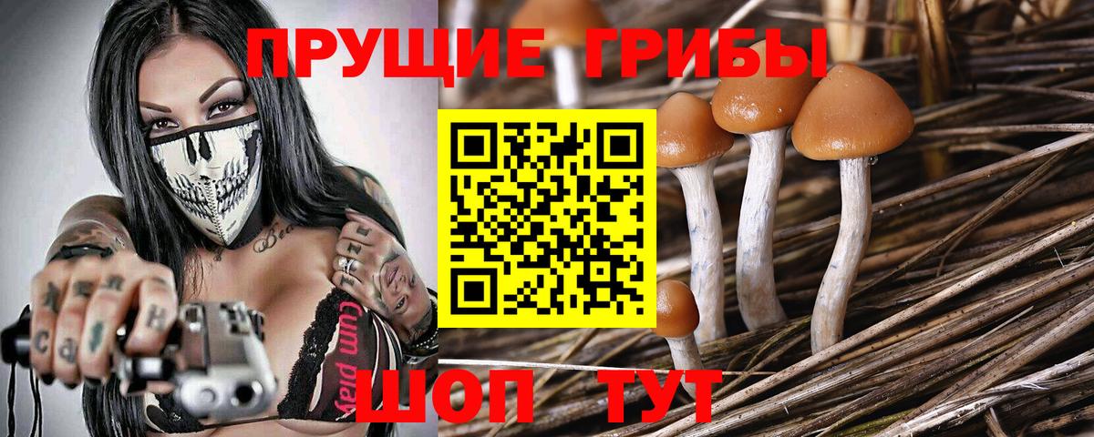 Псилоцибиновые грибы прущие грибы  Вход с VPN  Галлюциногенные грибы прущие грибы  Химки 