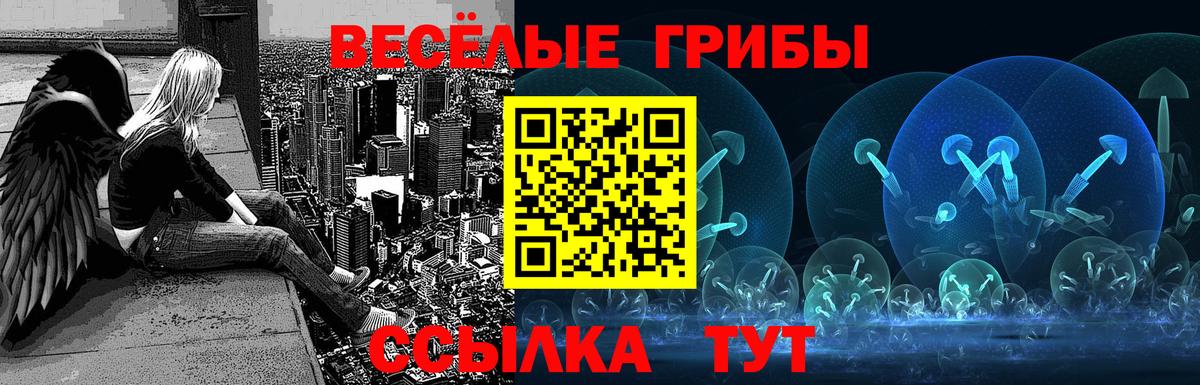 Галлюциногенные грибы Cubensis Химки